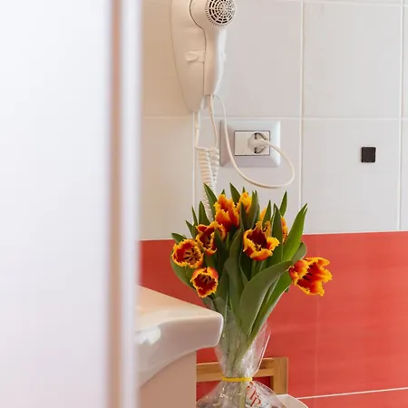 Domus Vettii Bed & Breakfast