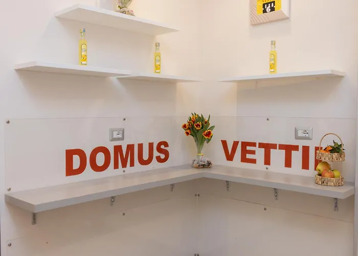 Domus Vettii 3*